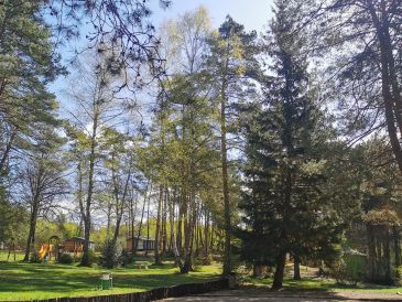 Salle des Sapins de Corrèze - photo 3