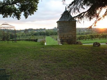 Château Lartigue Cèdres & Distillerie - photo 5